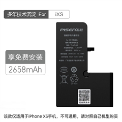 品胜快充手机内置电池(中国品胜)ixs纸盒装-国内版